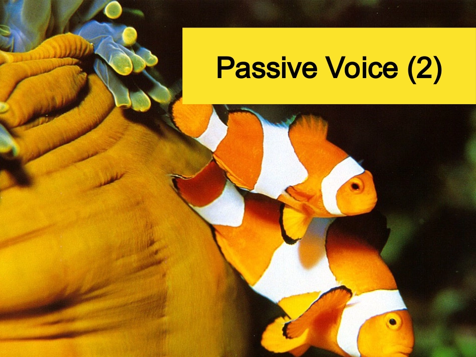 动词-ing形式的被动1--lynn_第1页