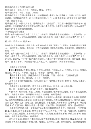 月季花的功效与作用及食用方法