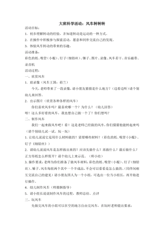 大班科学活动风车转转转