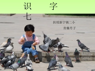 《识字七》PPT课件