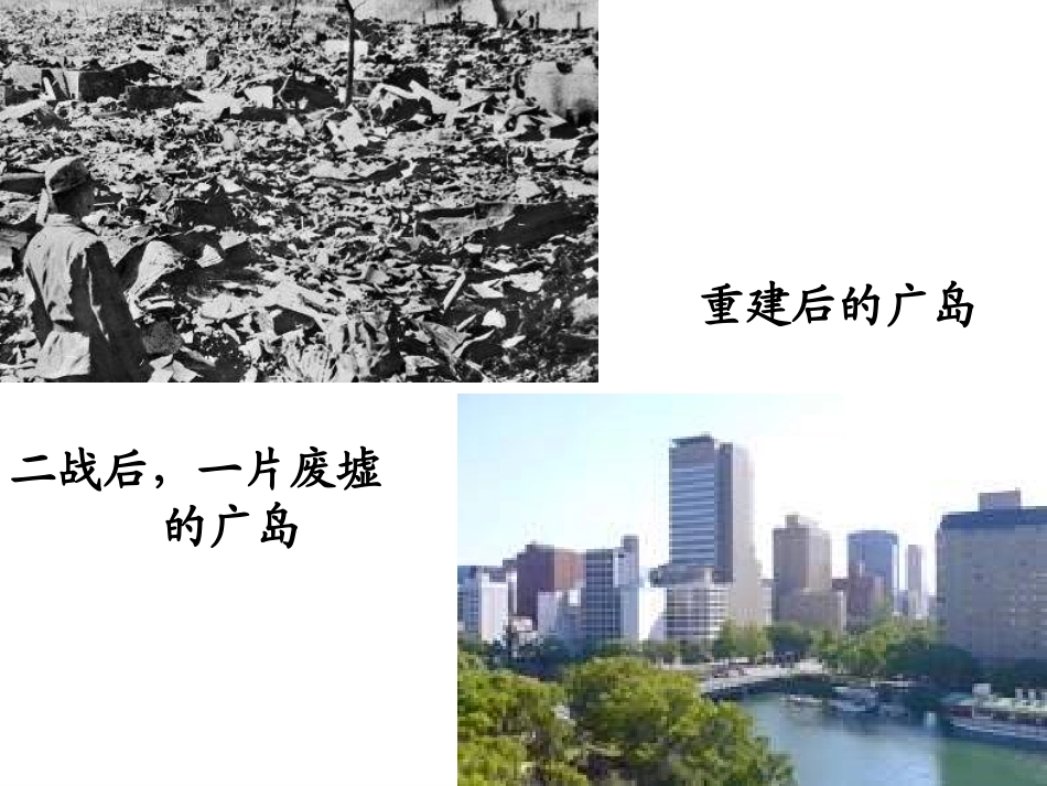 《西欧和日本经济的发展》课件_第3页