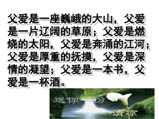 爸爸的花儿落了潘振华