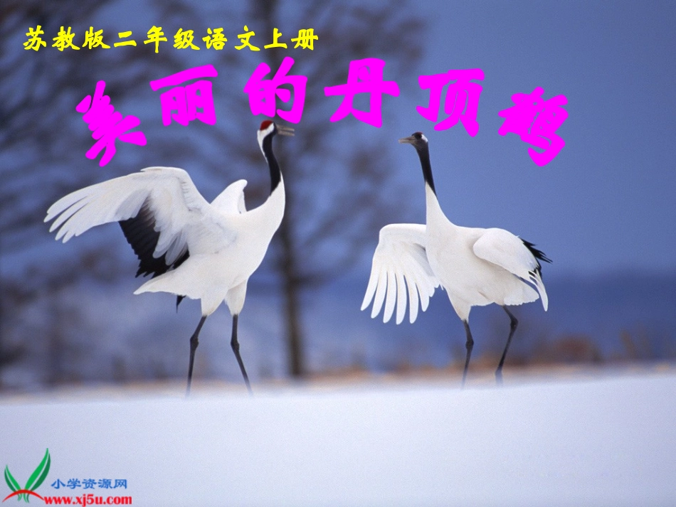 （苏教版）二年级语文上册课件美丽的丹顶鹤3_第1页