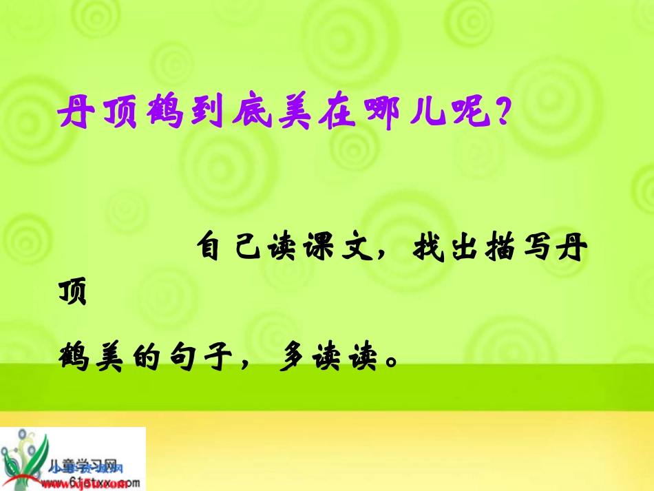 （苏教版）二年级语文上册课件美丽的丹顶鹤3_第3页