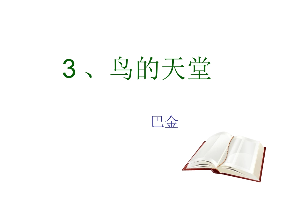 鸟的天堂PPT课件_第1页