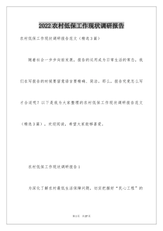 2024农村低保工作现状调研报告