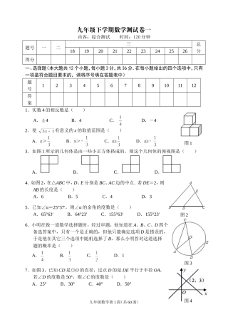 2014年春九年级下学期数学测试卷