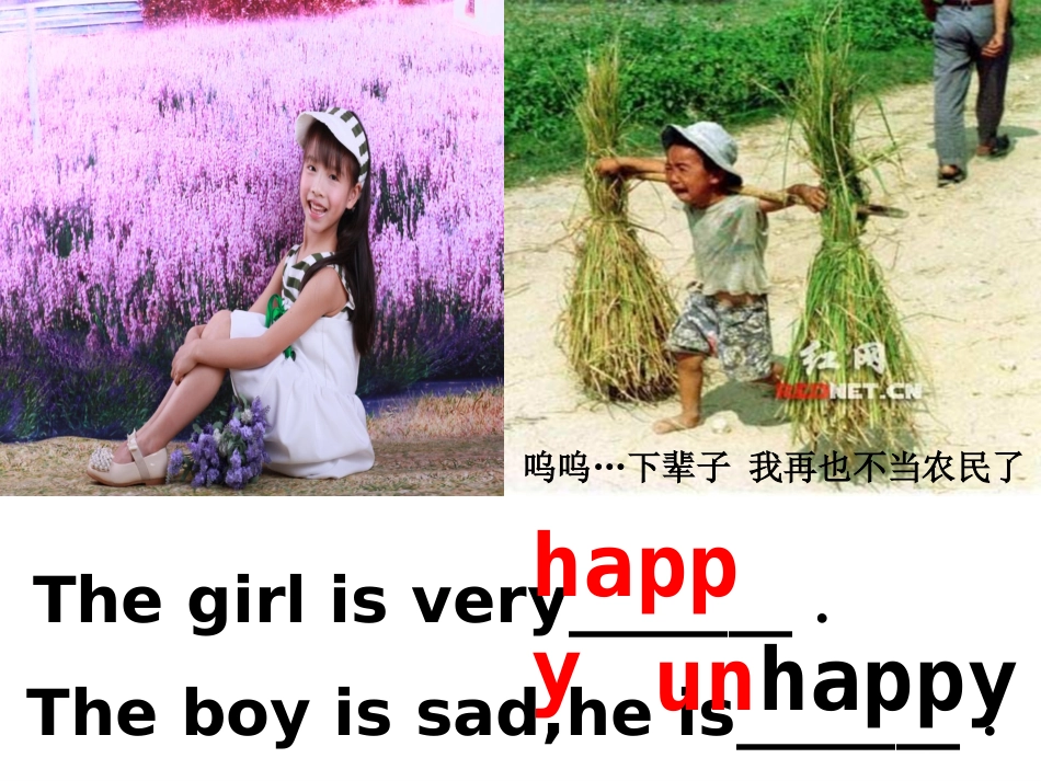赛教课件刘丽_第2页
