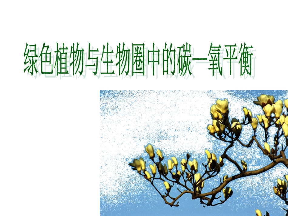 绿色植物与生物圈中的碳—氧平衡_第1页