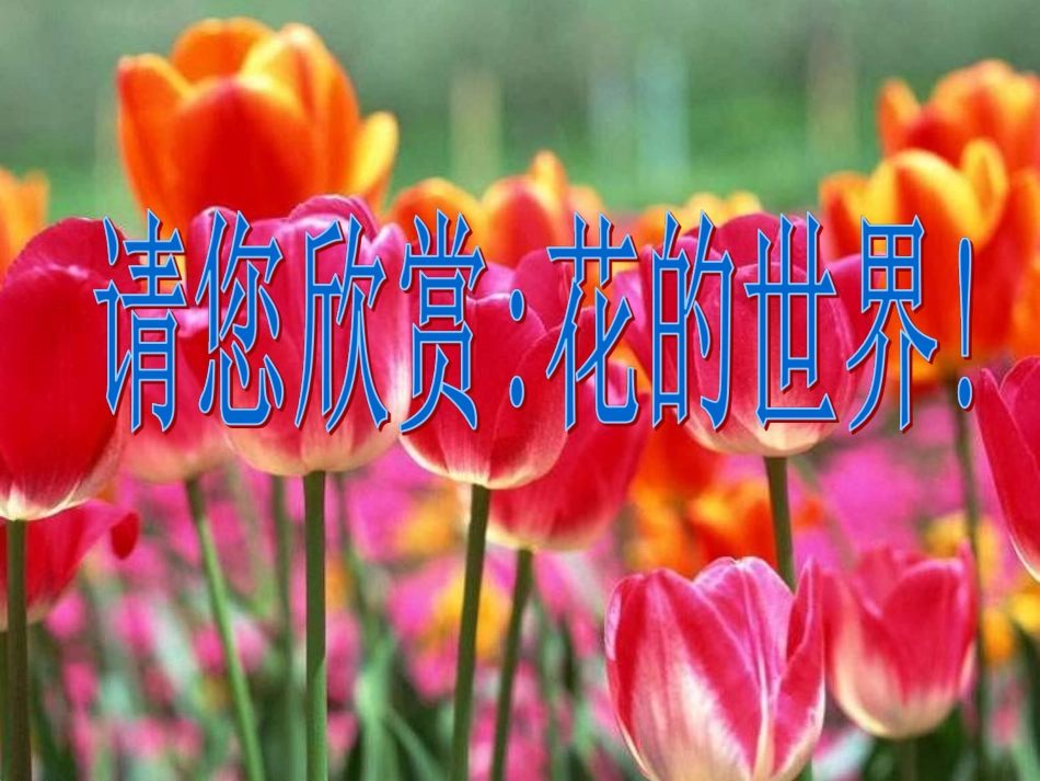 《紫藤萝瀑布》参考课件3_第1页