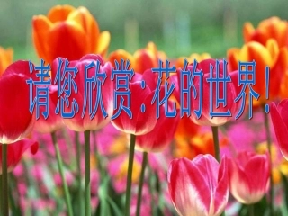 《紫藤萝瀑布》参考课件3