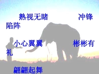 《与象共舞》课件