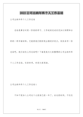2024公司出纳年终个人工作总结