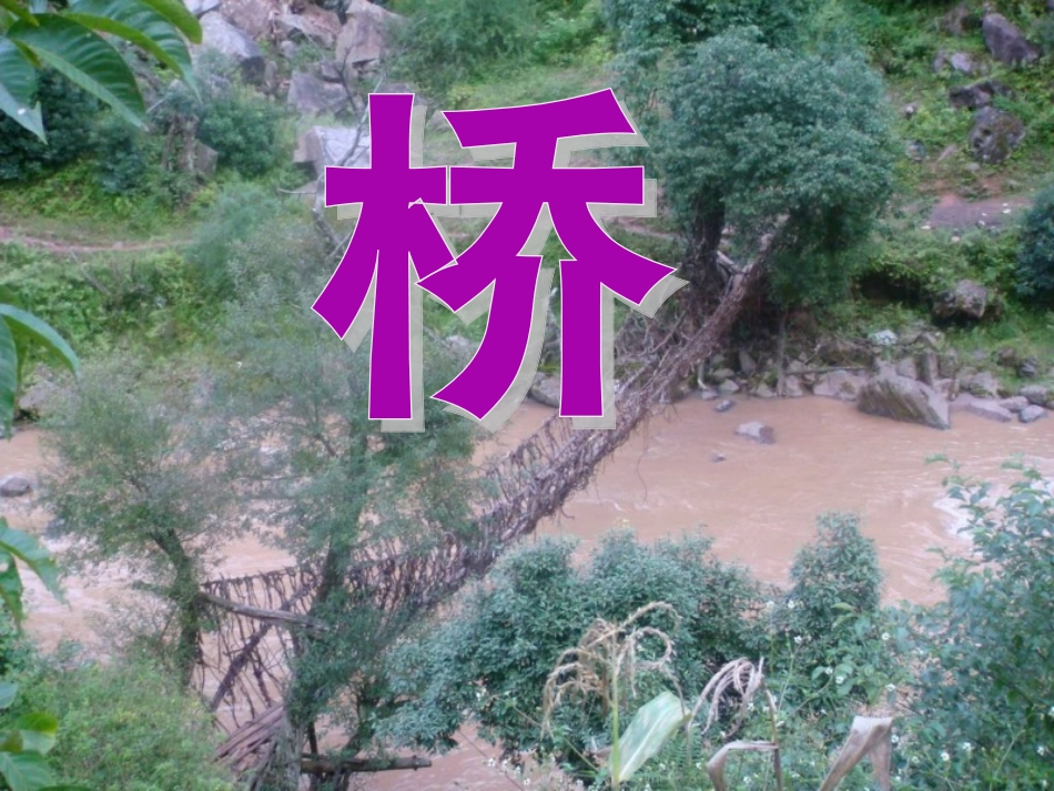《桥》教学课件1_第1页