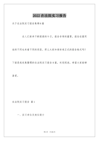 2024在法院实习报告_20