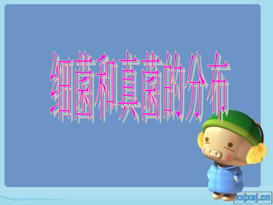细菌和真菌的分布-副本_第1页