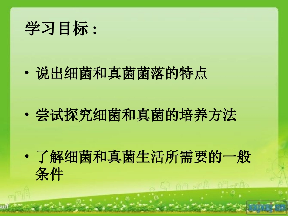 细菌和真菌的分布-副本_第2页
