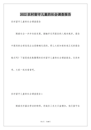 2024农村留守儿童的社会调查报告