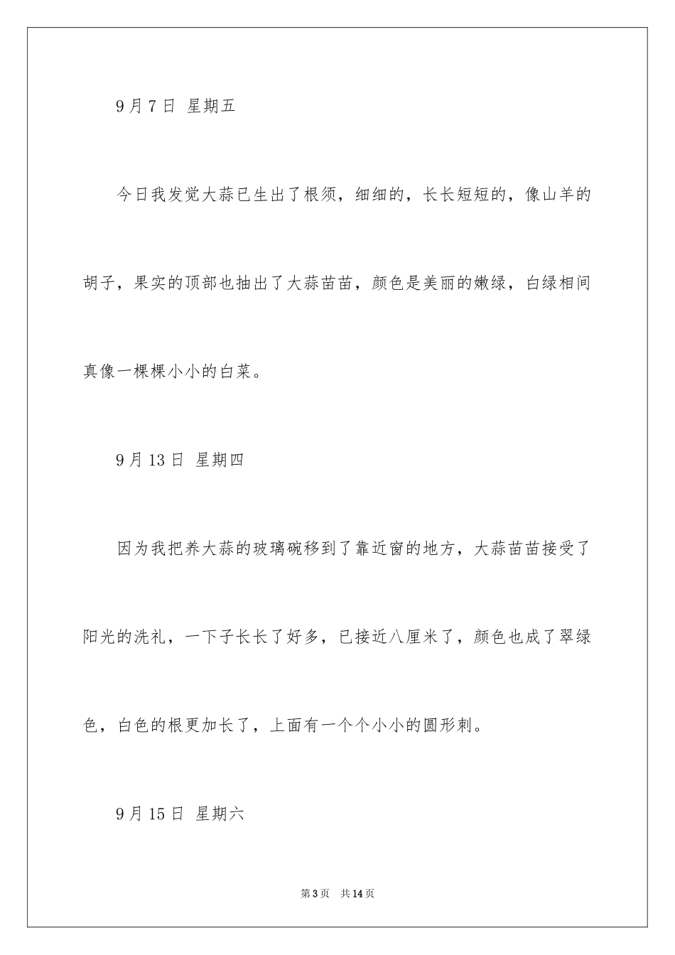 2024大蒜生长观察日记_第3页