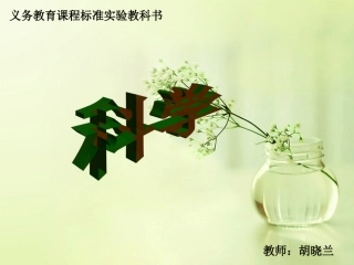 我们是怎样听到声音的PPT