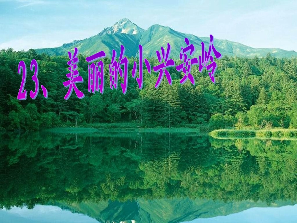 美丽的小兴安岭_PPT_第2页