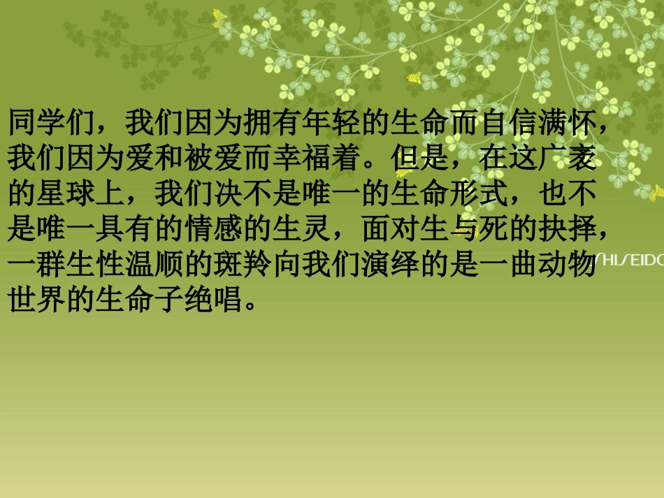 公开课斑羚飞渡_第2页