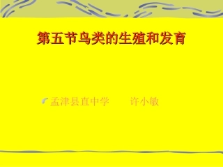 鸟类的生殖和发育