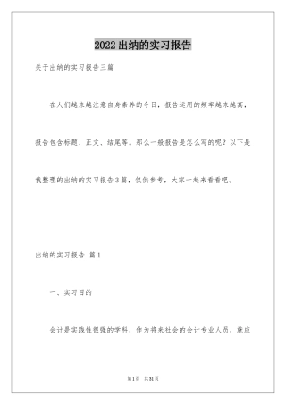 2024出纳的实习报告_86