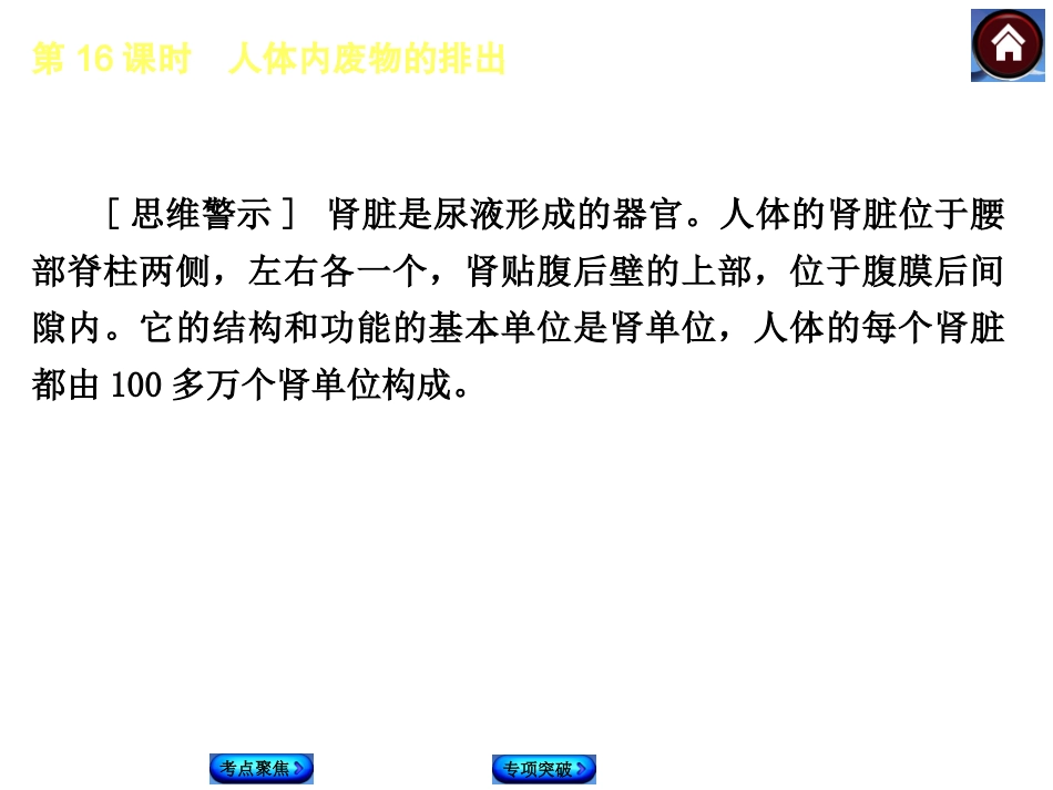 2015生物中考总复习课件（考点聚焦+归类探究+回归教材）：第16课时　人体内废物的排出_第3页