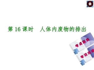 2015生物中考总复习课件（考点聚焦+归类探究+回归教材）：第16课时　人体内废物的排出