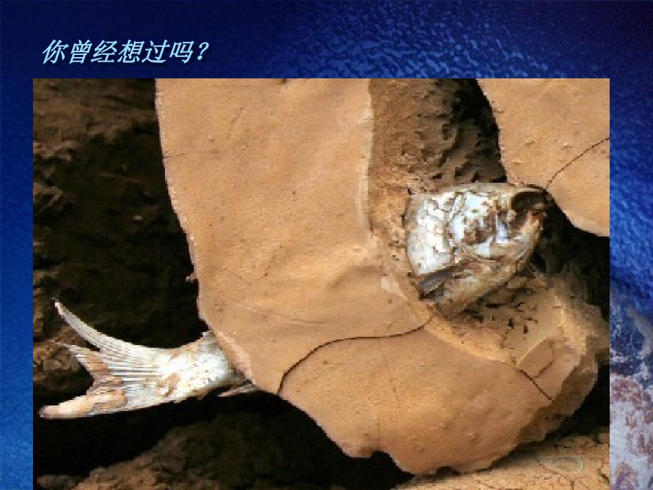 节约水电——主题班会_第3页