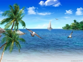 海洋__21世纪的希望