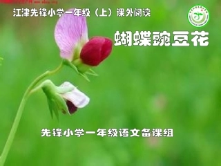 蝴蝶。豌豆。花