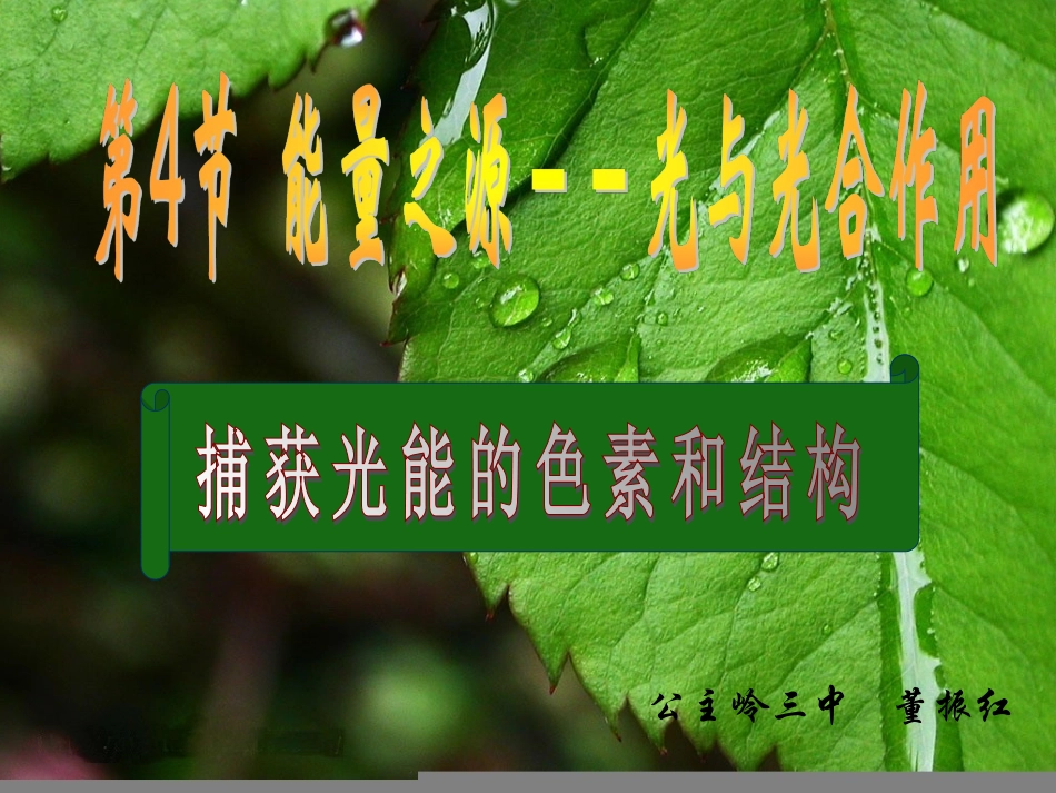 人教版必修1541捕获光能的色素和结构_第1页