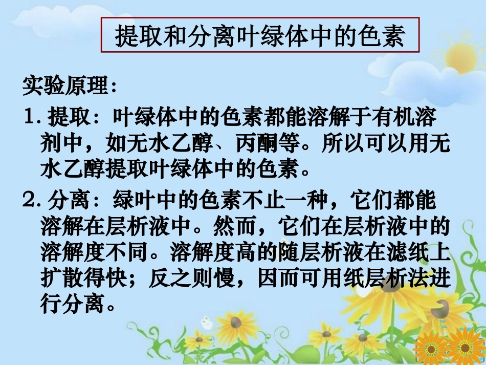 人教版必修1541捕获光能的色素和结构_第3页