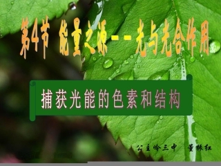 人教版必修1541捕获光能的色素和结构