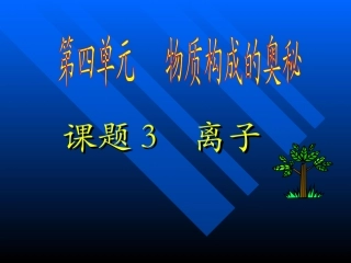 九年级化学离子1