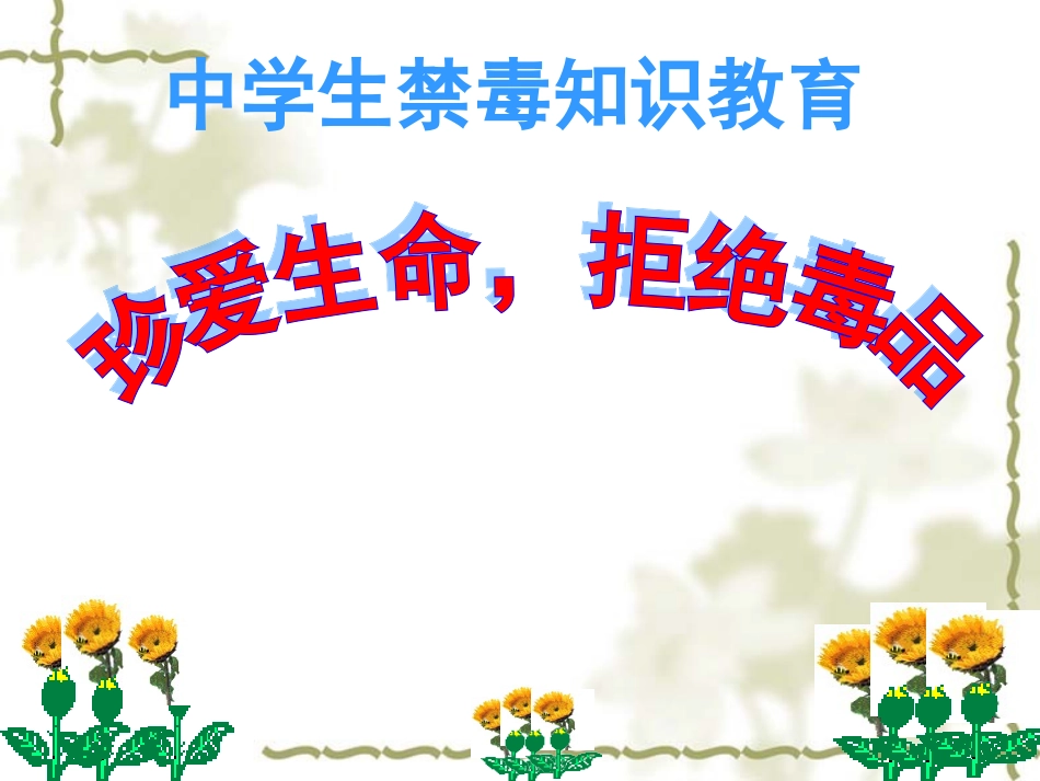 禁毒教育课件(1)_第1页