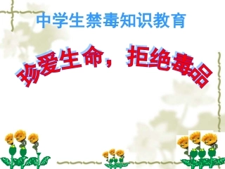 禁毒教育课件(1)
