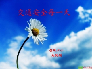 交通安全每一天