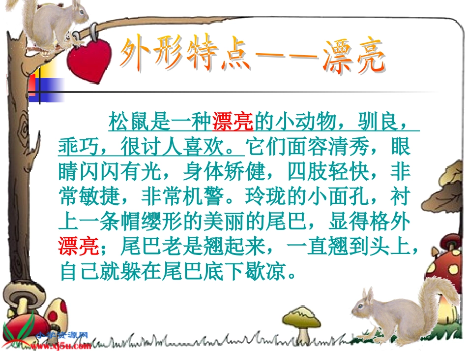 人教版小学语文五年级上册10《松鼠》PPT课件_第3页