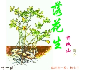 落花生PPT课件