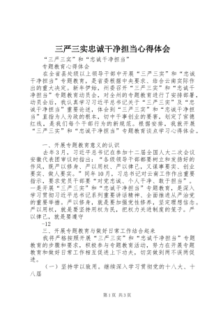 三严三实忠诚干净担当心得体会_1