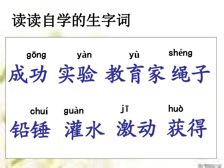 《一次成功的实验》课件4 (2)_第2页