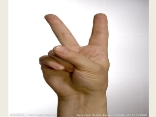 《我的早年生活》课件(周维忠)