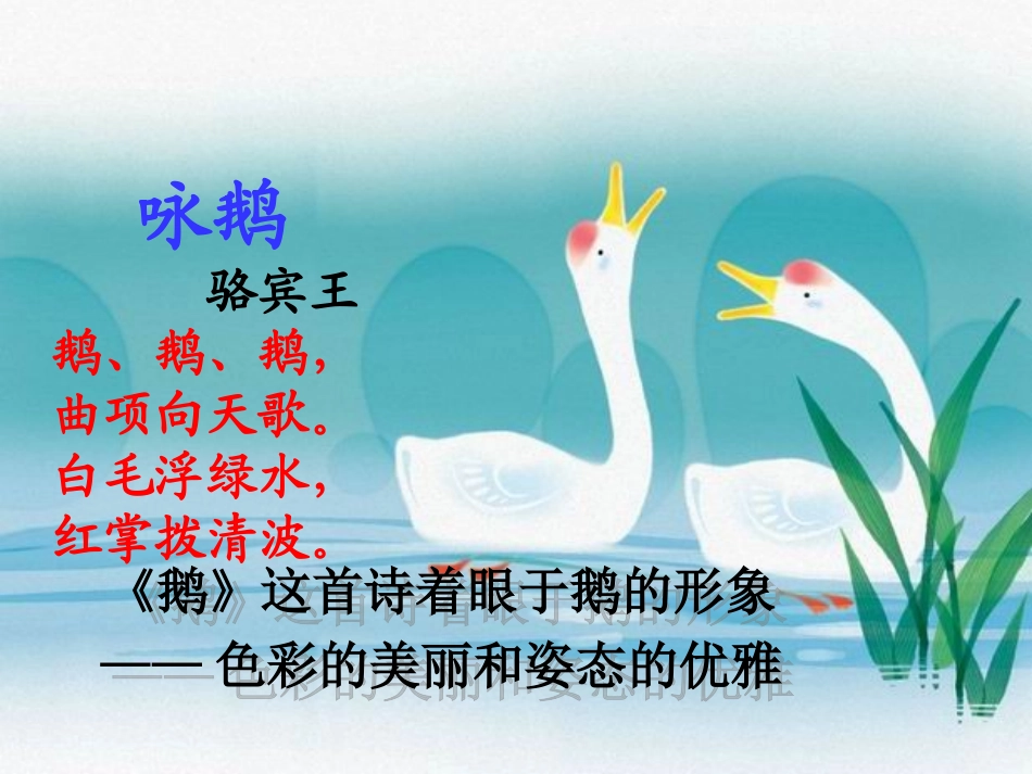 《白鹅》PPT课件_第2页