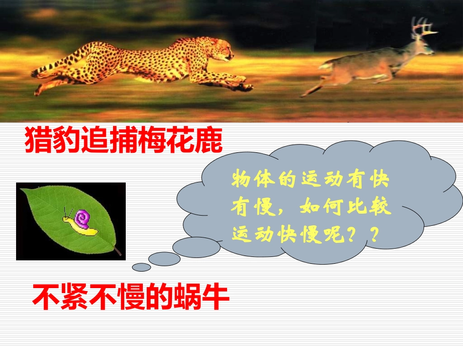 速度课件(备用)_第2页