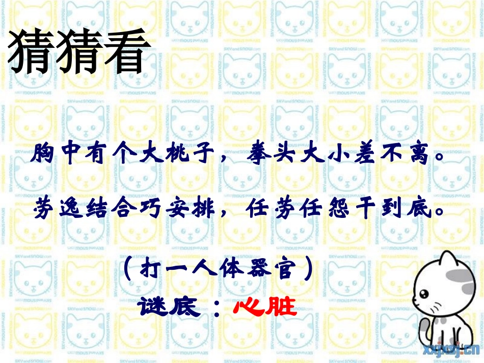 输送血液的泵——心脏完整版_第2页