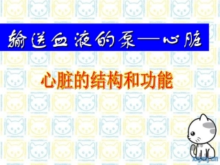 输送血液的泵——心脏完整版