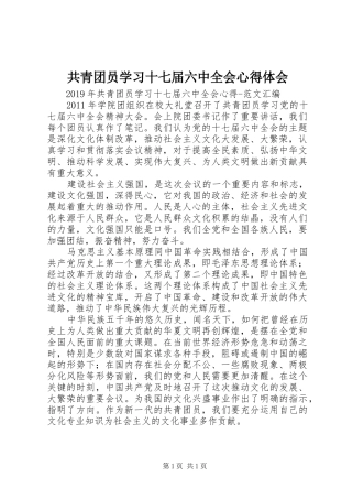 共青团员学习十七届六中全会心得体会